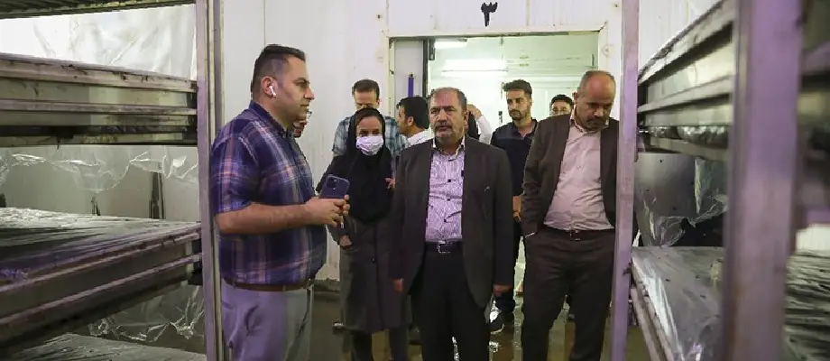 بازدید دکتر قادر زاده از مزارع پرورش قارچ