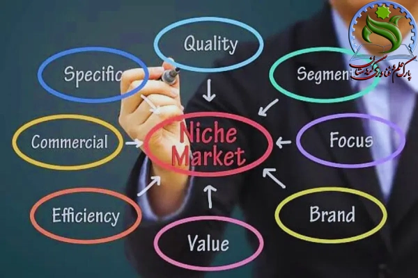 استراتژی تمرکز بر بخش خاص (Niche Market Strategy)