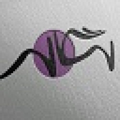 Kara Web Gostar Segal Logo لوگو كارا وب گستر سگال